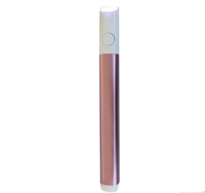 Household Safety Red Blue Light Smallpox Diluting Acne Beauty Instrument (Option: )