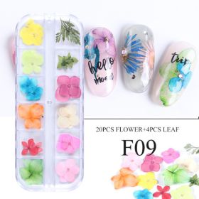 Nail Art Dry Flower 12 Grid Boxed Colorful Daisy Gypsophila Real Flower Nail Jewelry (Option: F09)