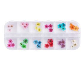 Nail Art Dry Flower 12 Grid Boxed Colorful Daisy Gypsophila Real Flower Nail Jewelry (Option: FZ)