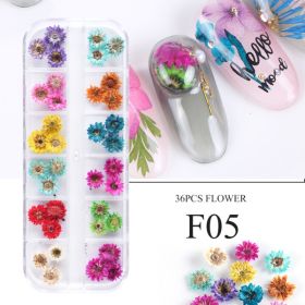 Nail Art Dry Flower 12 Grid Boxed Colorful Daisy Gypsophila Real Flower Nail Jewelry (Option: F05)