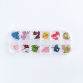 Nail Art Dry Flower 12 Grid Boxed Colorful Daisy Gypsophila Real Flower Nail Jewelry (Option: F04)