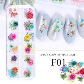 Nail Art Dry Flower 12 Grid Boxed Colorful Daisy Gypsophila Real Flower Nail Jewelry (Option: F01)