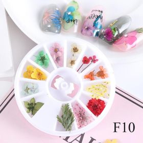 Nail Art Dry Flower 12 Grid Boxed Colorful Daisy Gypsophila Real Flower Nail Jewelry (Option: F010)