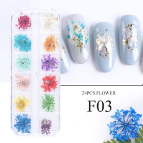 Nail Art Dry Flower 12 Grid Boxed Colorful Daisy Gypsophila Real Flower Nail Jewelry (Option: F03)