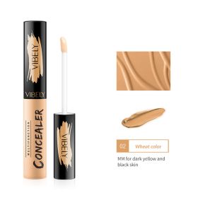 Concealer For Repairing Acne Marks With Concealer Solution (Option: )