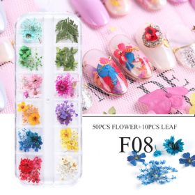 Nail Art Dry Flower 12 Grid Boxed Colorful Daisy Gypsophila Real Flower Nail Jewelry (Option: F08)