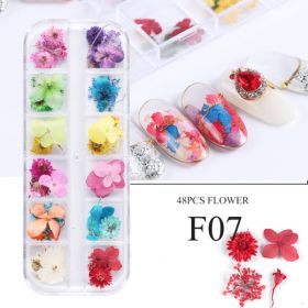 Nail Art Dry Flower 12 Grid Boxed Colorful Daisy Gypsophila Real Flower Nail Jewelry (Option: F07)